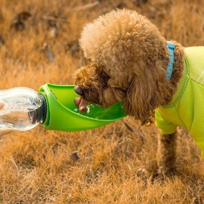 New Portable Pet Dog Water Bottle For Dogs Go Out  Outdoor