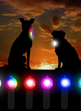 LED Pet Dog Collar Glowing Pendant Night Safety Pet Leads