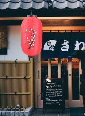 25cm Chinese Style Lantern Lamp Party Home Hanging Lampion