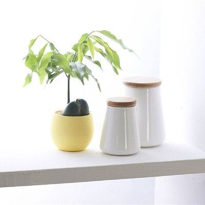 Hot Sale Mini Flower Plant Pots Round Plastic Planter