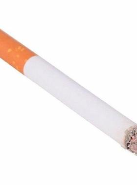 Fake Cigarettes Tricky Toys April FoolS Day Props Novelty