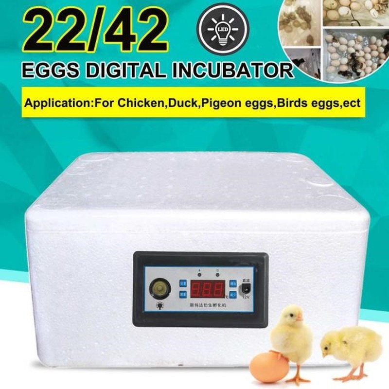 22/42 Eggs Incubation Box Digital Incubator Automatic Suitab