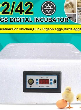 22/42 Eggs Incubation Box Digital Incubator Automatic Suitab