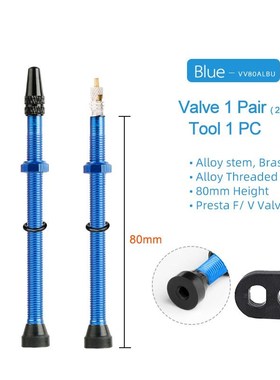 Deemount 2PCS Bicycle Tubeless Tire Presta Valve s Core Opti