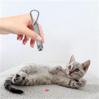 Cat Teaser Catch Interactive LED Light Beam Pointer Pet
