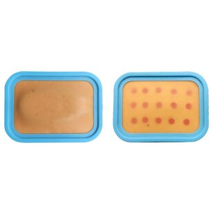 2PCS Injection Exercise Model Intravenous Arm Needle Trainin