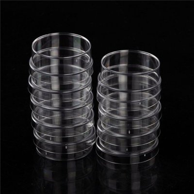 Lab Supplies 10PCS Practical Sterile Petri Dishes with Lids