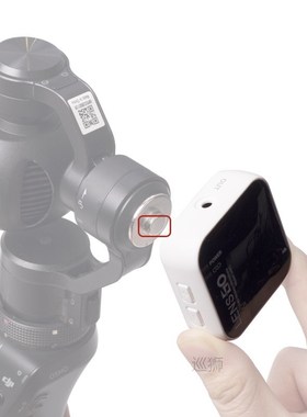 Lensgo 348C Microphone 2.4G Wireless Lapel Mic Support TF ca