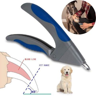 Pet Dog Cat Birds Nail File Kit Toe Claw Clippers Scissors