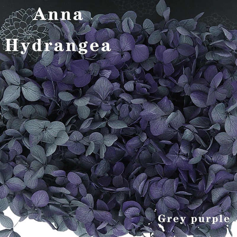 5g/lot Hydrangea Dried Flower Dry Plants Aromatherapy Candle