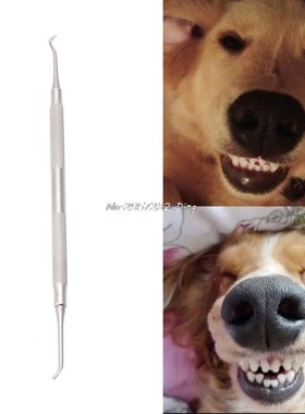 1 pc Dog Tooth Scaler for Pet 7 Inch Double End Remover Scra
