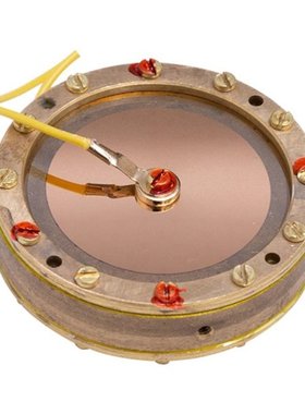 Cardioid Pickup Mics Diaphragm Cartridge Core Capsule Profes