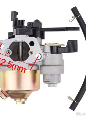 Motorbike Carburetor Carburator Carb Fit for GX160 GX168F GX