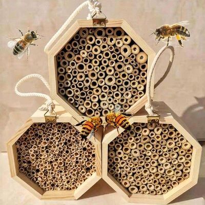 High Quality Wooden Insect Bee House Wood Bug Room Hotel