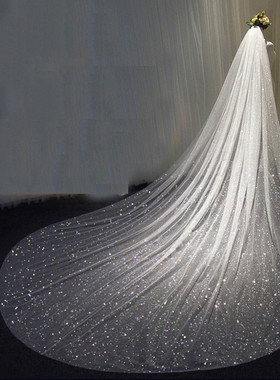 Bling Bling Bridal Veils Sparkly White Champagne Long Cathed