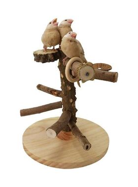 Pet Parrot Playstands Climbing Hanging Ladder Bridge Wood