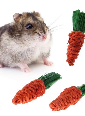 3Pcs Carrot Shaped Rabbit Hamster Chew Bite Toys Guinea Pig