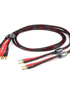 YTER HI-End Western Electric Speaker Cable HIFI Audiophile C