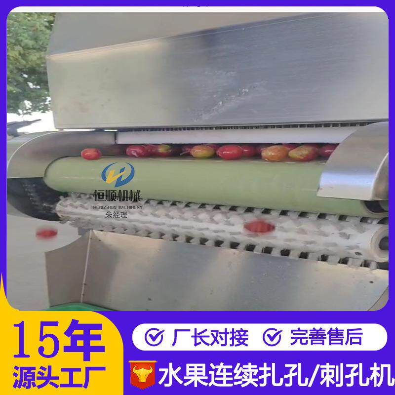 蜜饯浸糖钱扎眼刺孔机 浸泡杨梅酒配套扎孔机
