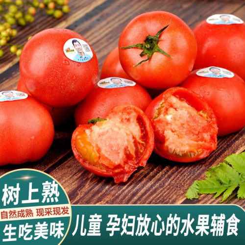 老王家老品种味道番茄自然熟生食