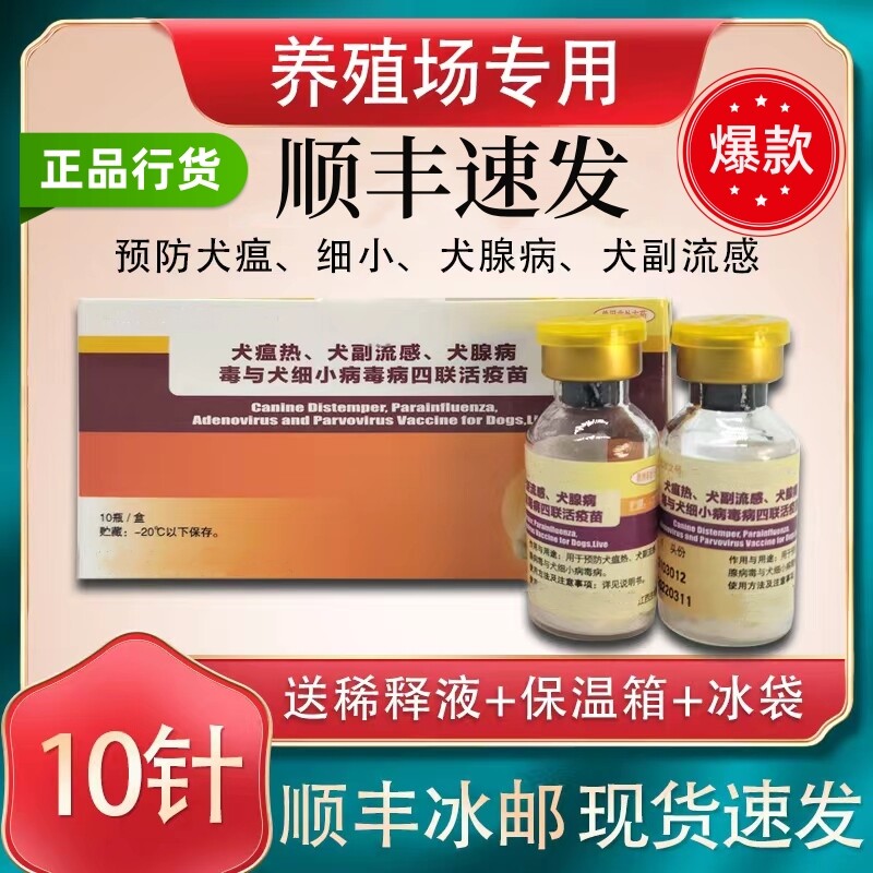 牧逸中牧犬四联疫苗防疫土狗肉狗养殖场江西中牧四联预防针盒装