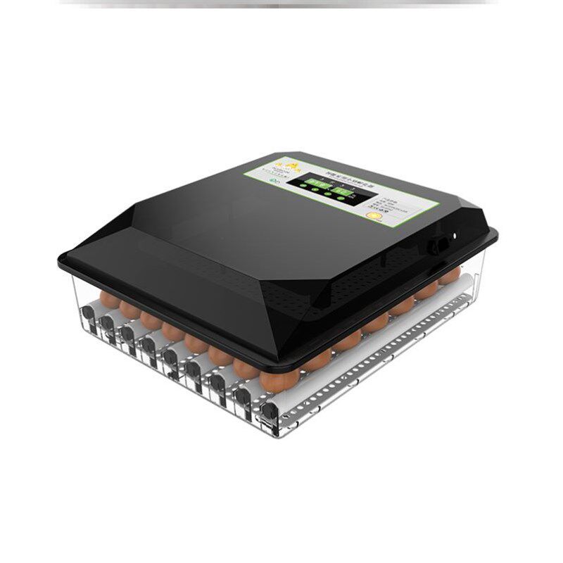 快速发货b厂家鸡蛋孵化器鹅蛋育雏保温箱种鸡蛋家用家庭机器全自,五金/工具,电热工具,淘宝优惠券,粉丝福利购,淘宝优惠卷