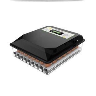 快速发货b厂家鸡蛋孵化器鹅蛋育雏保温箱种鸡蛋家用家庭机器全自