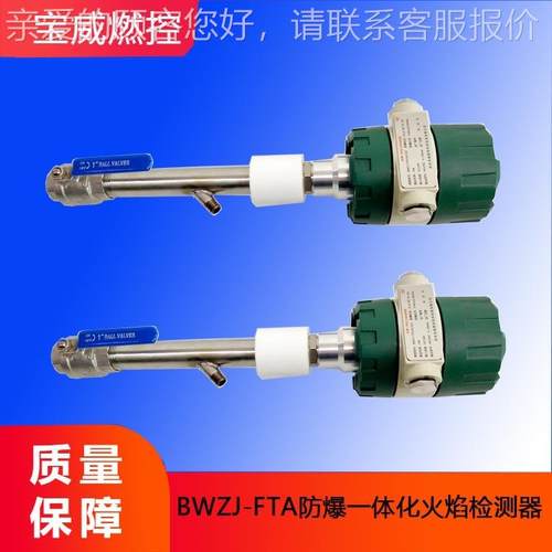 数BWZJ-FTA显模拟量一体智化防爆检工业燃烧能器火焰测器