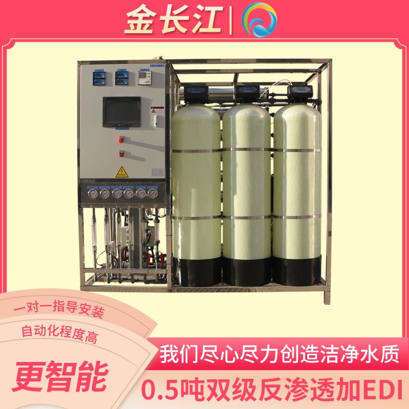 0.5吨双级加EDI设备反渗透水处理超纯水一体化净水超纯水制取机器