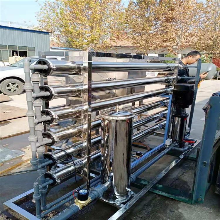 胜王水处理 全不锈钢反渗透设备 纯净水去离子淡化过滤