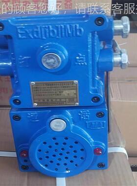 兼矿用隔爆本安型声光信号器 XHKXH127127K语音打单点工通讯声光