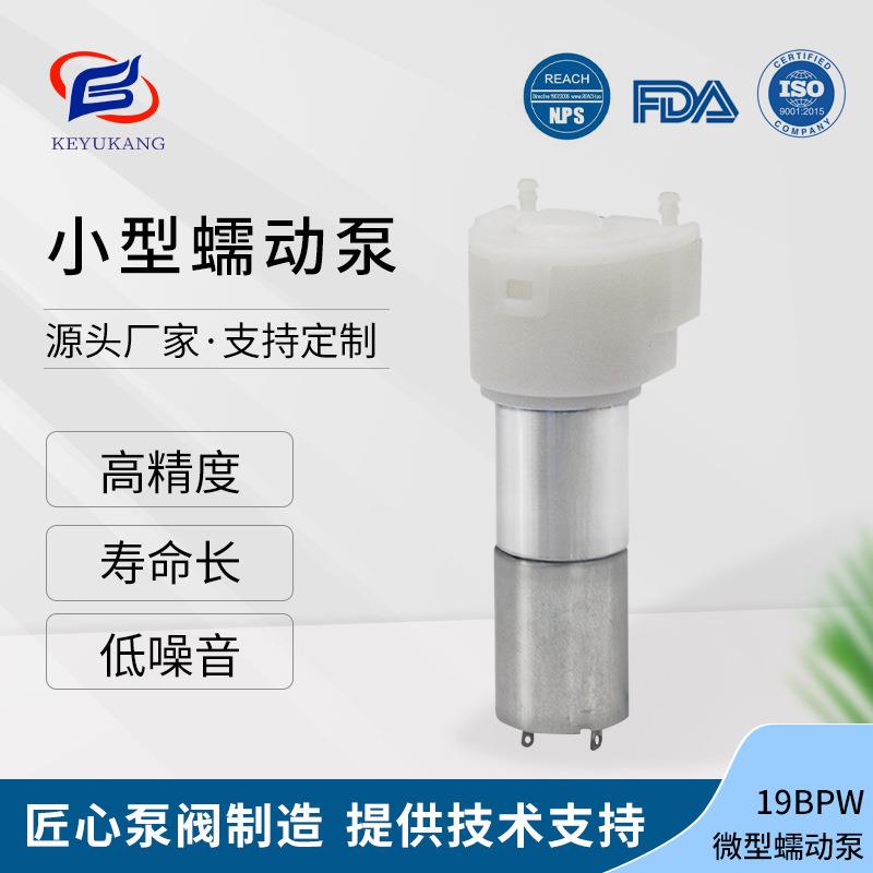 KYK19BPW微型蠕动泵自吸泵直流6V12V抽水泵 洗手机微型皂液泵