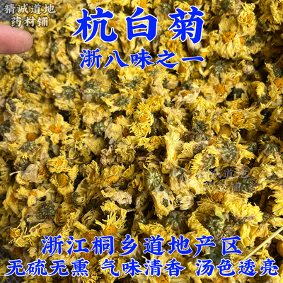 杭白菊道地浙八味之一浙江桐乡