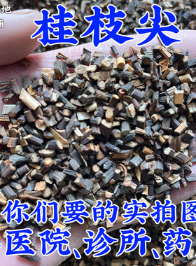 禹州中药材批 发1000g桂枝中药材正品桂枝尖野生桂枝中药材500g