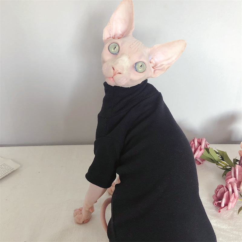 现货速发斯芬克斯无毛猫衣服加厚德绒离子柔软保暖打底衫秋冬自发