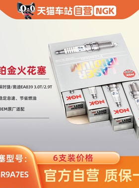 NGK火花塞SILKGR9A7ES适配新保时捷卡宴途锐奥迪Q7A6LA7A8LS43.0T