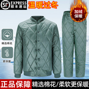 套装 正品 棉衣裤 冬季 松枝绿内穿工作服 军绿男温区寒区棉衣棉袄制式