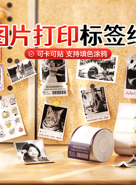 精臣商业B1/B21/B3S/B4手账贴纸彩色图片打印纸简笔画图像照片相片纸可涂色复古风儿童涂鸦玩具不干胶标签纸