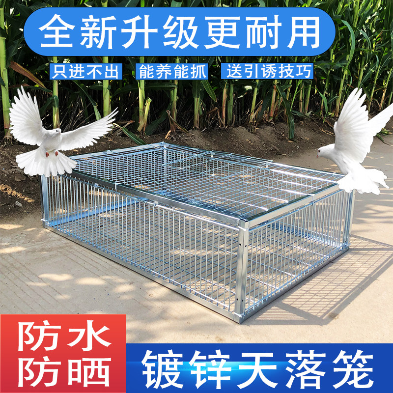 新款天落笼只进不出户外神器抓鸽子笼子镀锌加厚防晒防锈鸽子撞门