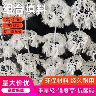组合式填料污水处理挂膜培菌填料