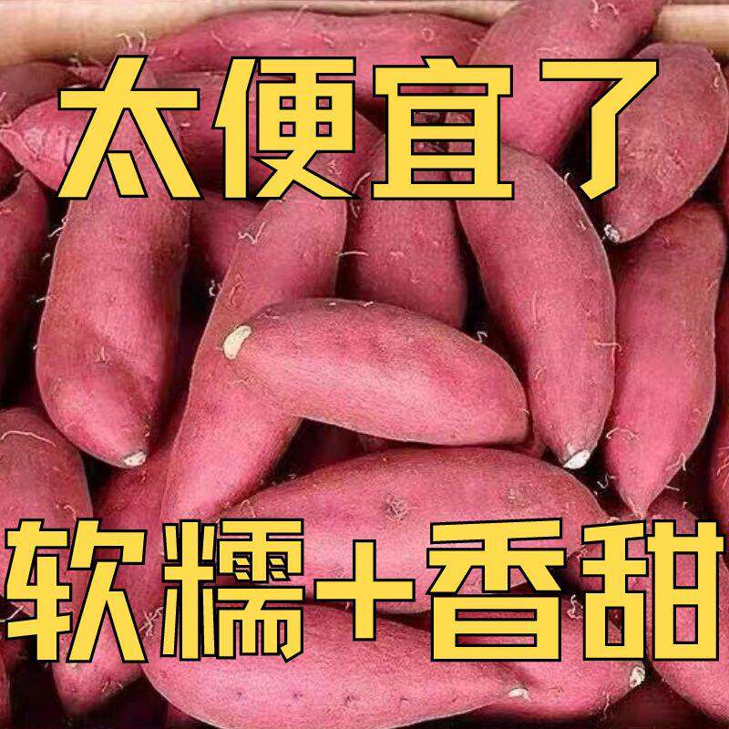 5斤正宗临安天目山小香薯板栗红薯沙地黄心手指新鲜红薯小番薯3斤