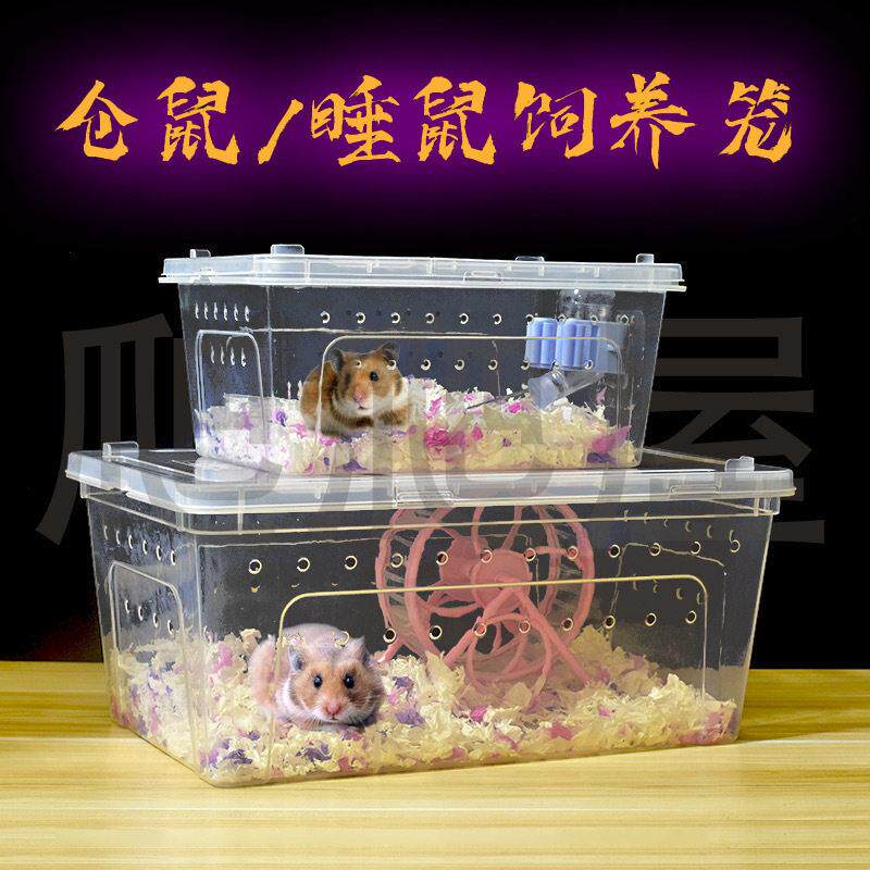 透明西班牙睡鼠饲养盒小仓鼠笼子金丝熊饲养笼花枝鼠防越狱外带笼
