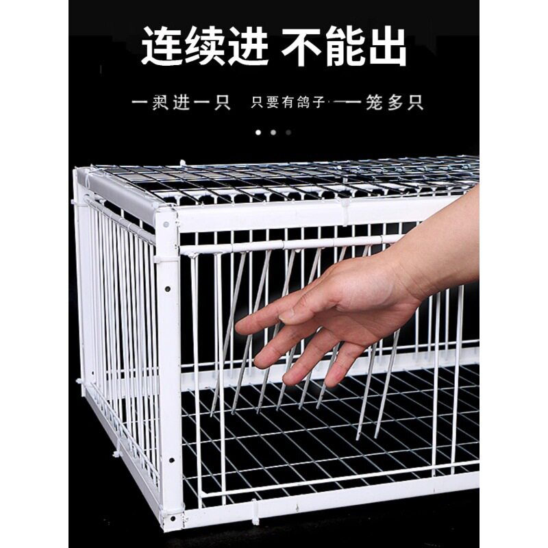 只进不出鸟笼全自动天落笼子撞门户外抓收鸽子捕加密可连续用