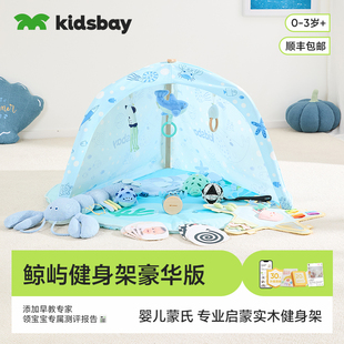 3岁 运动家庭系列宝宝蒙氏早教新生婴儿玩具教具0 鲸屿健身架 新品