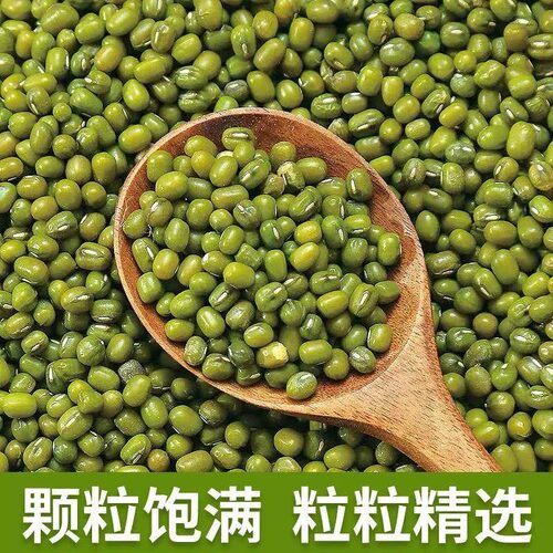 农家绿豆100克/5斤新绿豆绿豆粥解暑绿豆汤优质绿豆五谷杂粮