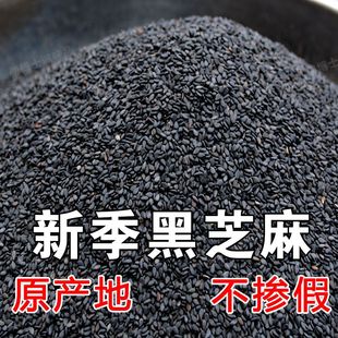 一级黑芝麻生新货500g小包装炒熟现炒即食新鲜打豆浆专用白芝麻仁