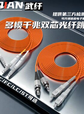 千兆多模双芯lc-sc-fc光纤跳线