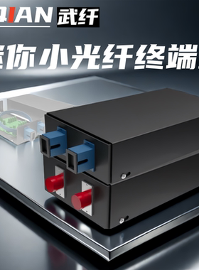武纤 迷你2口光纤终端盒2芯尾纤盒光缆终端盒熔接盒4口SC/FC/LC口加厚光纤盒空箱熔接盒壁挂电信级配满尾纤