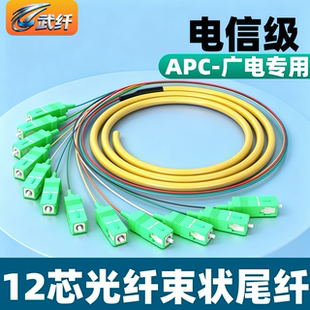 武纤 SC/APC广电束状尾纤12芯束装尾纤彩色FC/LC头-apc 广电级CATV束装单模光纤跳线熔接绿色线