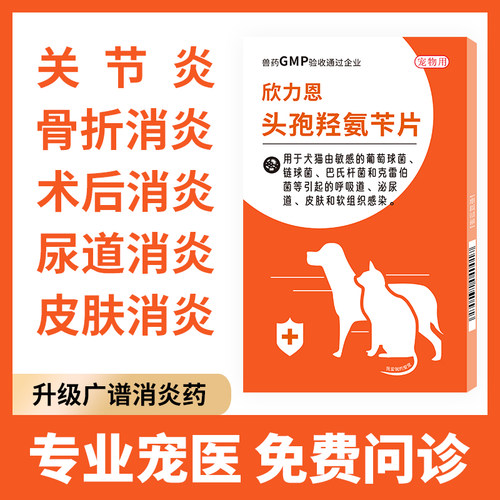 宠物消炎药窝咳感冒咳嗽鼻涕喷嚏